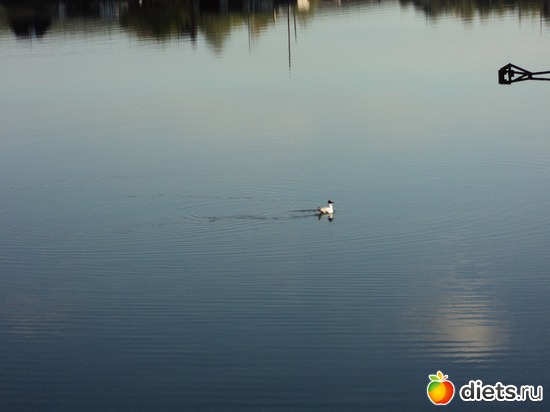 14 фото: мой город