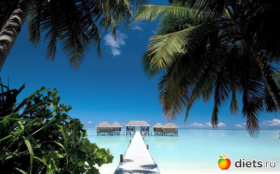 5 ����: ������ �� �� ���� ���, ��� ����� ��� �? =)