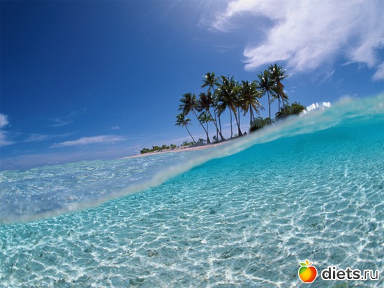 7 ����: ������ �� �� ���� ���, ��� ����� ��� �? =)