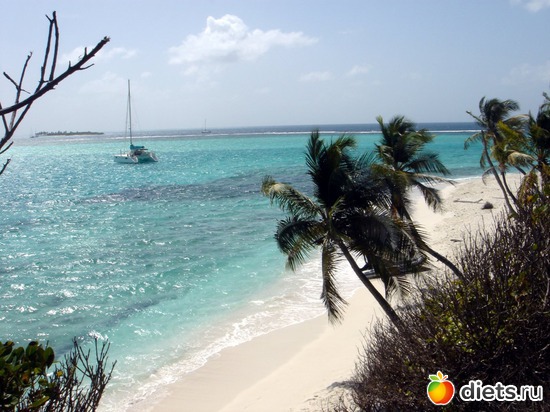 11 ����: ������ �� �� ���� ���, ��� ����� ��� �? =)