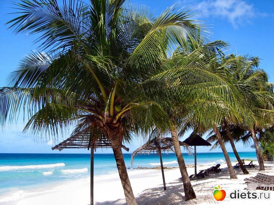 12 ����: ������ �� �� ���� ���, ��� ����� ��� �? =)