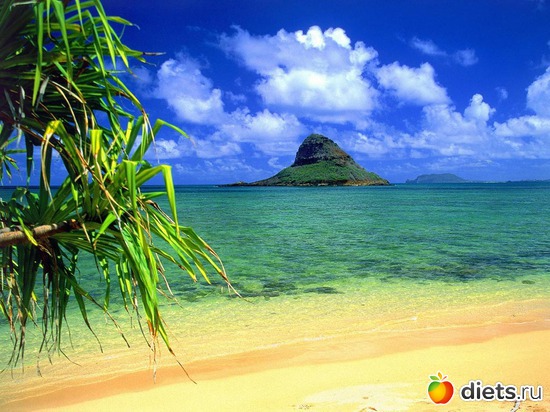 14 ����: ������ �� �� ���� ���, ��� ����� ��� �? =)