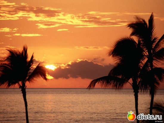 20 ����: ������ �� �� ���� ���, ��� ����� ��� �? =)