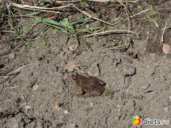 15 фото: мой город