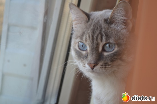 2 ����: ���������