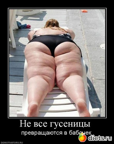 3 ����: ������ �����������,�����!