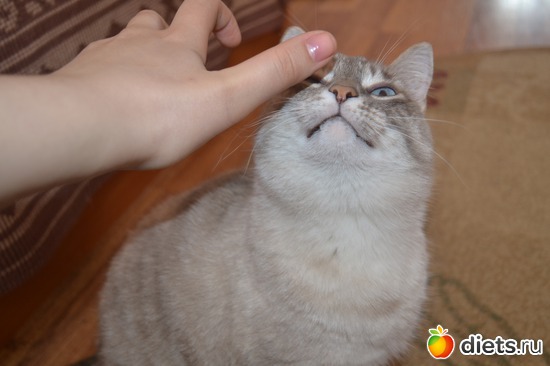 3 ����: ���������