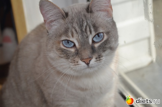 5 ����: ���������