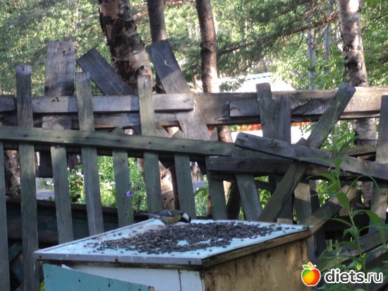 5 фото: мой город