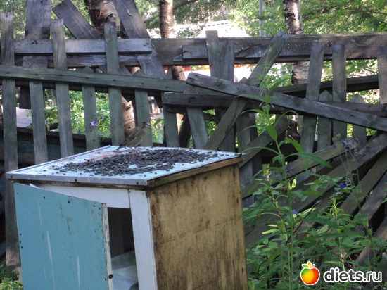 7 фото: мой город