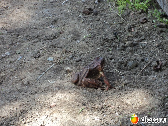 13 фото: мой город