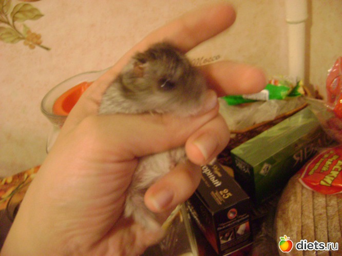 1 ����: �����