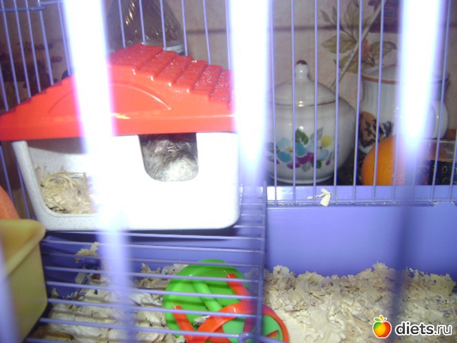 3 ����: �����