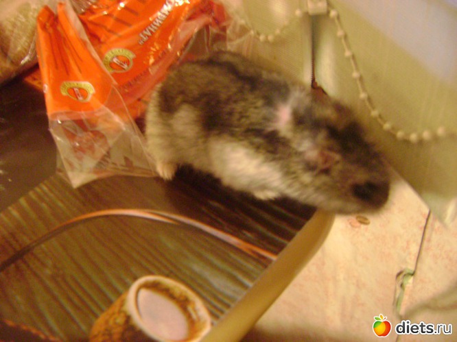 6 ����: �����