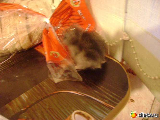 7 ����: �����