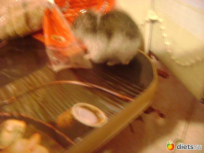 8 ����: �����