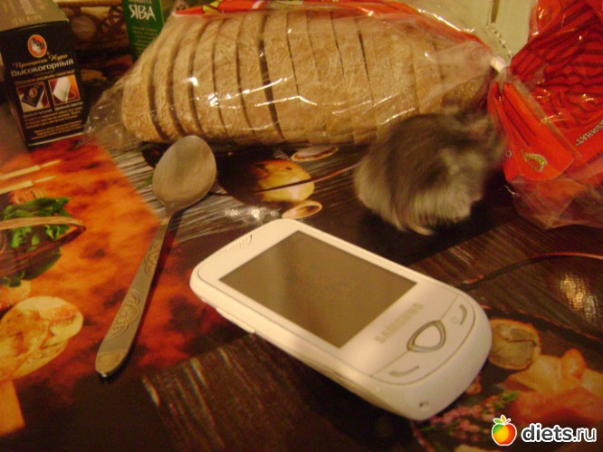 9 ����: �����