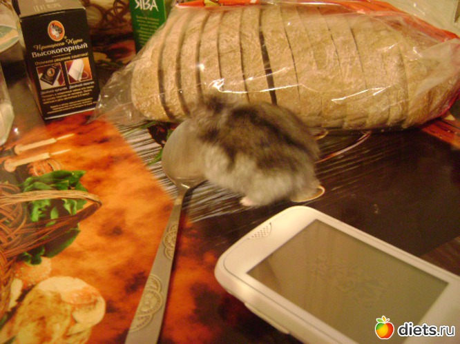 10 ����: �����