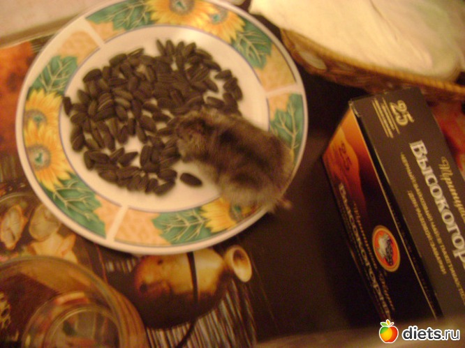 11 ����: �����