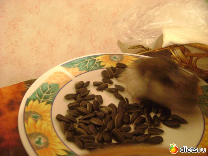 13 ����: �����