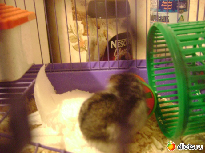 16 ����: �����