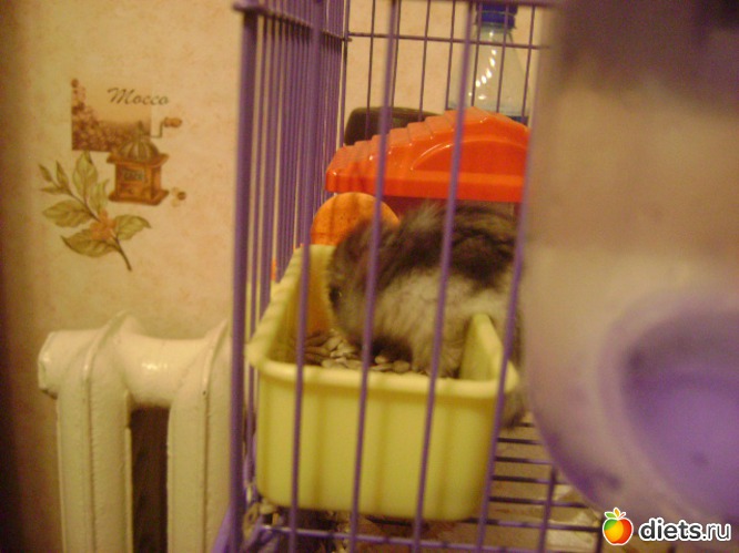 18 ����: �����