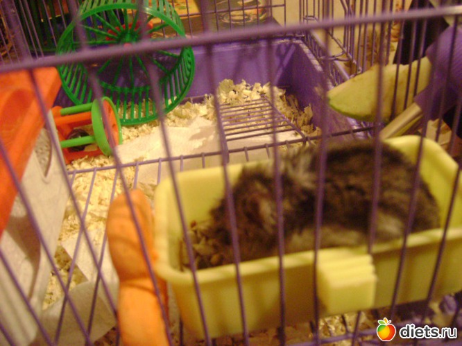 20 ����: �����