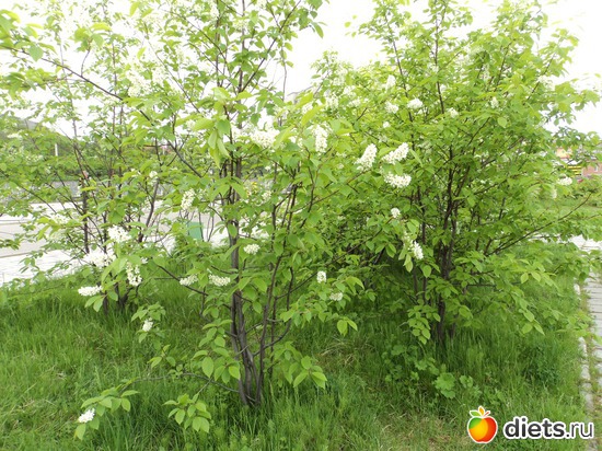 35 фото: мой город