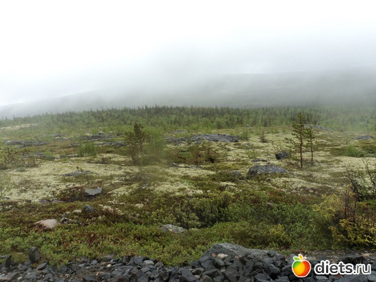 30 фото: мой город