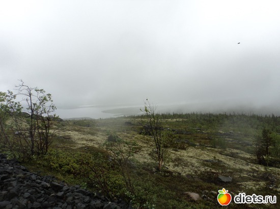 31 фото: мой город