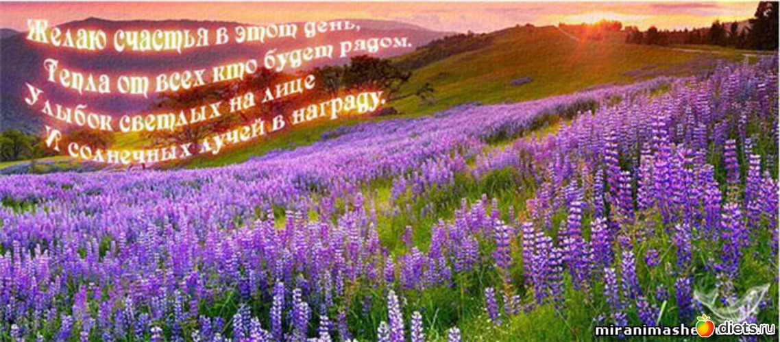 15 фото: картинки