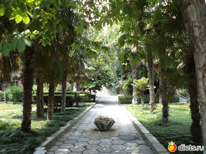 парк в Гурзуфе, альбом: Крым