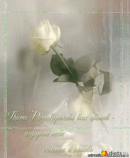 16 фото: картинки