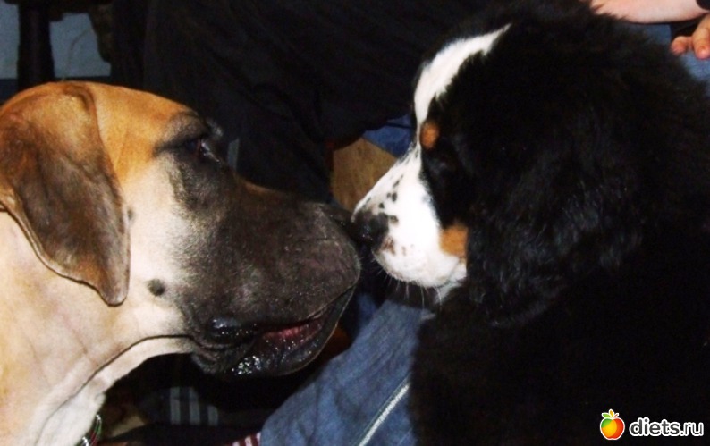 1 ����: ��� ������� :-)