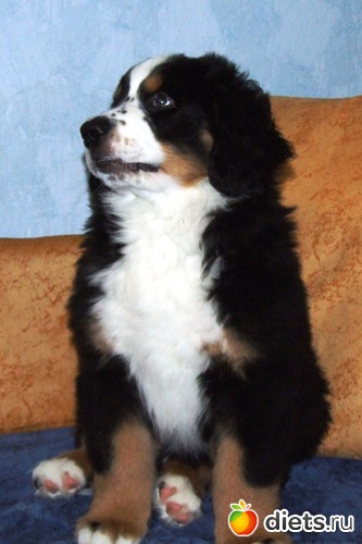 2 ����: ��� ������� :-)