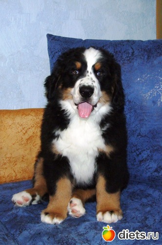 3 ����: ��� ������� :-)