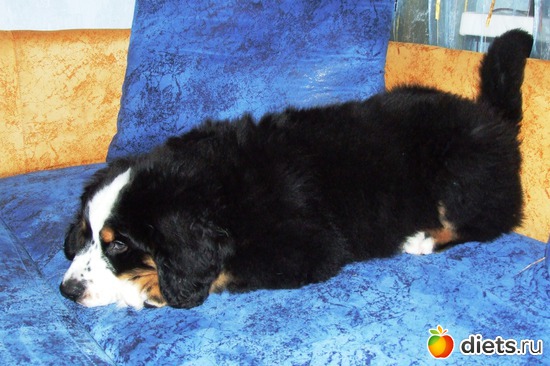 4 ����: ��� ������� :-)