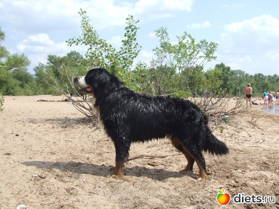 5 ����: ��� ������� :-)