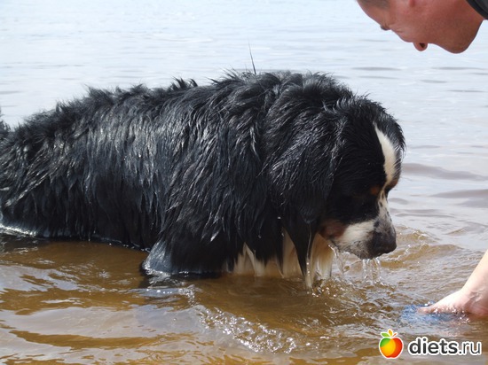 6 ����: ��� ������� :-)