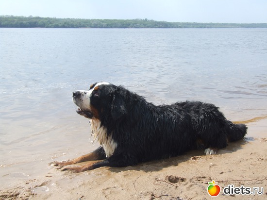 7 ����: ��� ������� :-)