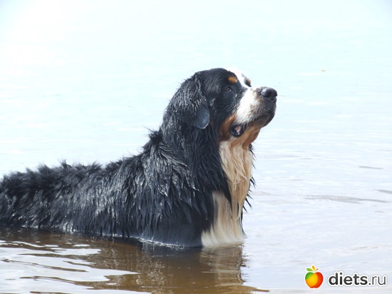 8 ����: ��� ������� :-)