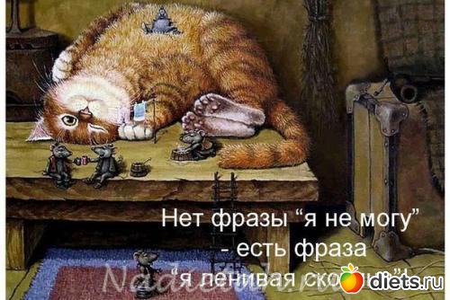 ��� ����� "� �� ����!" - ���� ����� "� ������� �������!""