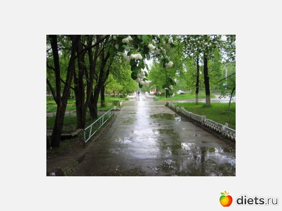 16 ����: �����-����� � ������� ������.