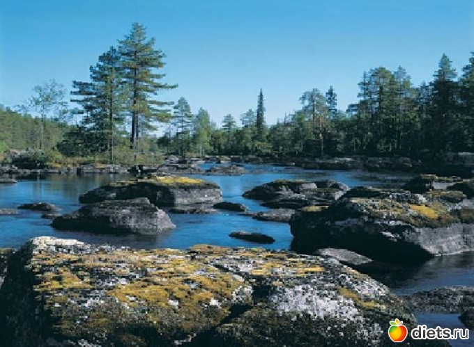 31 ����: �����-����� � ������� ������.