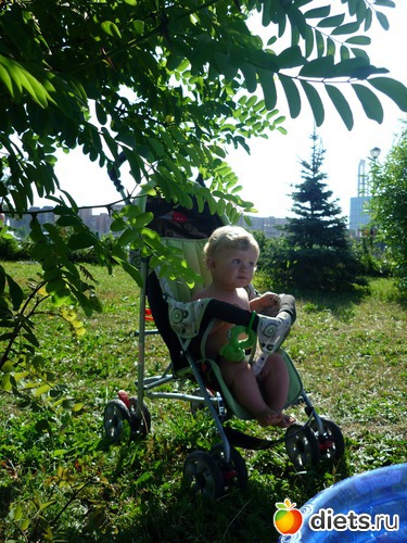 ����, ������: ������