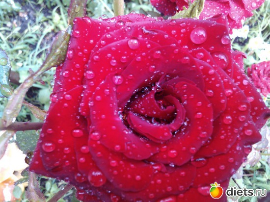 1 ����: ��� ��������