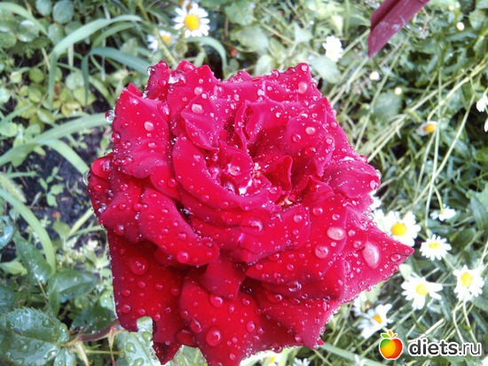 2 ����: ��� ��������