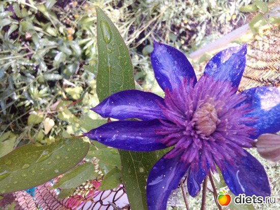 5 ����: ��� ��������