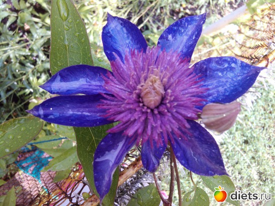 6 ����: ��� ��������