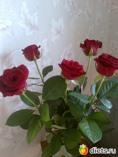 спасибо, любимый!, альбом: Счастливые моменты моей жизни... =)